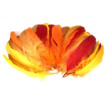 Plumes D'Oies 14/17 Cm 15g - Sodertex