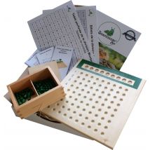Division Montessori