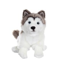 Peluche - Chien Réaliste Assi, Husky 25 Cm - Gipsy Toys
