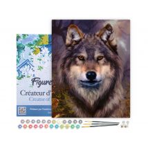 Peinture Par Numéro Figured'art Avec Cadre - Tête De Loup - Kit De Loisir Créatif Diy Numéro D'Art Complet - 40x50cm Toile Tendue Sur Châssis