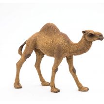 Figurine Dromadaire - Papo