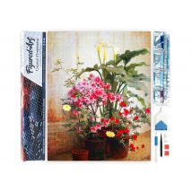 Diamond Painting Broderie Diamant Figured’art 40x50cm Toile Entière Roulée Avec Diamants Carrés - Côté D'Une Serre - Figured'Art