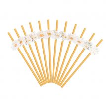 12 Pailles Daisy - Annikids