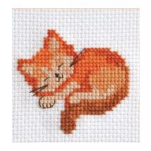 Mon 1er Kit Point De Croix - Chat Endormi - Anchor Marron