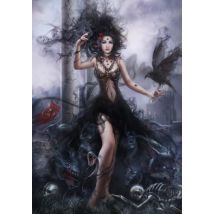 Puzzle 1000 Pièces - Shadowness - Grafika