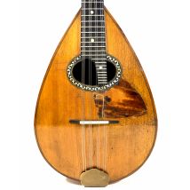 Mandoline De Concert Emanuele Egildo N°464 De 1925