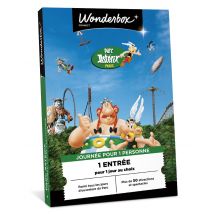 Parc Astérix - 1 Jour Pour 1 Adulte - Tick'nBox
