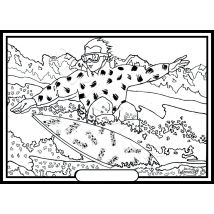 Tableau Velours A Colorier Surf Des Neiges Sericolor