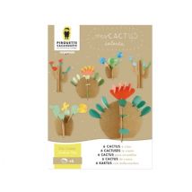 Mes Cactus Colorés - Pirouette Cacahouète
