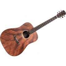 Dov-d Dreadnought Jn Guitars