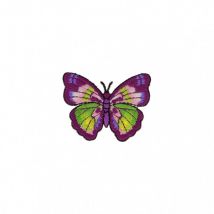 Ecusson Thermocollant Papillon Violet Vert 4cm X 4cm - My mercerie