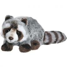 - Raton Laveur 25 Cm - Anima