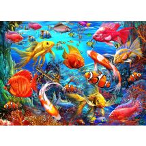 Puzzle 1500 Pièces - Tropical Fish - Bluebird Puzzle