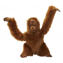 Peluche Orang Outan Bébé – 42cm - Anima - Marron