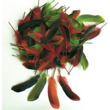 Plumes - Couleurs D'Automne - 80 Pièces - Oz International