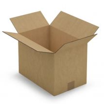 Carton D'Emballage 25 X 15 X 14 Cm - Simple Cannelure - Raja