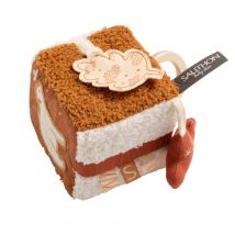 Cube D'Activités Ours En Sherpa - Sauthon