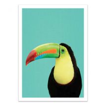 Affiche 50x70 Cm - Toucan Bird In Blue - Gal Design - Wall Editions