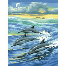 Tableau Peinture Au Numéro Pour Enfant Dauphins - Oz International
