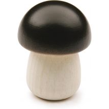 Bolet - Erzi