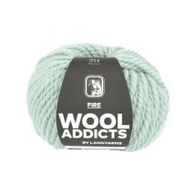 Pelote De Laine Fire - 100gr - Wool Addicts 0091 Vert - Wool Addicts by Langyarns
