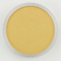 Panpastel 9ml Or Clair - Panpastel