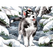 Canevas Margot Can.seul 50x65 Cache Neige 50x65 Cm - Att 544 - Cache Neige