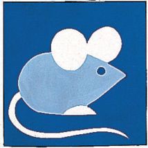 Kit Canevas Soudan Enfant Souris Rose - Margot