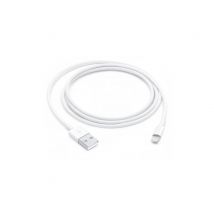 Apple Câble Lightning Vers Usb-a 2.0 Charge Et Synchronisation 1m Blanc