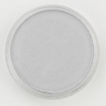 Panpastel 9ml Argent - Panpastel