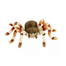 Araignee 24cml - Anima - Hansa