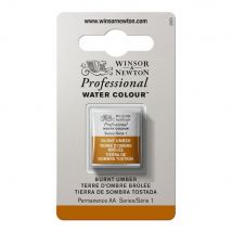 1/2 Godet - Peinture Aquarelle Winsor & Newton - Terre D'Ombre Brûlée N°076 - Extra Fine - Transparent