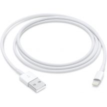 Apple Câble Lightning Vers Usb - 1m