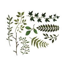 Sizzix - Matrice De Découpe - Herbes Feuillages