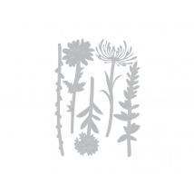 Die Fleurs Sauvages2 - Sizzix