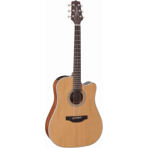 Takamine Gd20ce - Guitare Folk Électroacoustique - Dreadnought - Naturel Satin