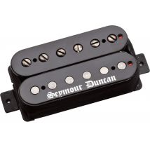 Seymour Duncan Black Winter - Micro Manche Pour Guitare - Noir