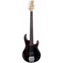 Sterling By Music Man Ray5 - Guitare Basse - Stingray - Walnut Satin