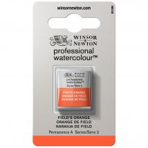 Demi Godet D'Aquarelle Professionnelle Winsor & Newton - Orange De Field
