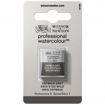 Demi Godet D'Aquarelle Professionnelle Winsor & Newton - Gris D'Ostwald