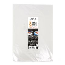 Lot De 25 Feuilles Fondantes Alimentaires Gatocopy Patisdécor - Type C - Format A4 - 1 Kg - Patisdecor
