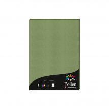 Feuilles Clairefontaine - Pollen - 50 Feuilles - Sauge - A4 - 120 G/m² Scrapbooking