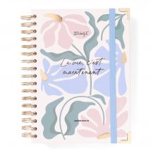 Agenda Scolaire Journalier 2025-2026 Mr Wonderful - La Vie Maintenant