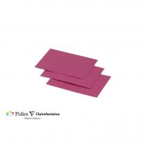 25 Cartes Pollen 70x95 Mm - Framboise - Clairefontaine