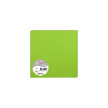 25 Cartes Pollen 160x160 Mm - Vert Menthe - Clairefontaine