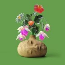 Dreams - Édition Limitée Colorée