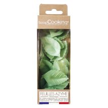 Lot De 24 Feuilles Azyme Scrapcooking - Vert - 50 G - Scrapcooking