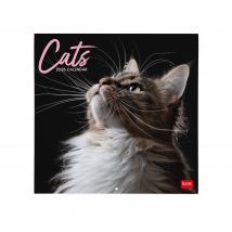 Calendrier 2026 Legami - Cats - 30 X 29 Cm