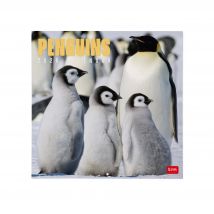 Calendrier 2026 Legami - Penguins - 30 X 29 Cm