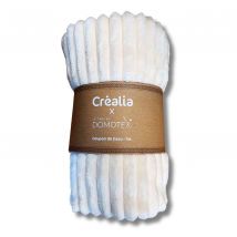 Coupon Bague 1m Minky Cotele Uni Ecru - Domotex